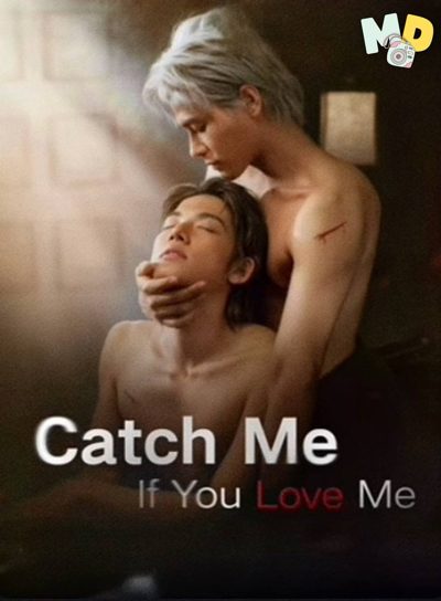 Capa da minissérie O Rato Se Apaixonou Pelo Gato - Catch Me If You Love Me